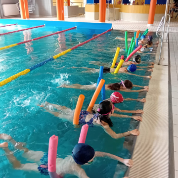 Niepubliczna Szkoła Podstawowa Mistrzostwa Sportowego APRiA